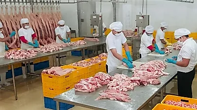 필리핀, 가금육‧돼지고기 수입량 늘린다...돼지고기는 최대 6억MT