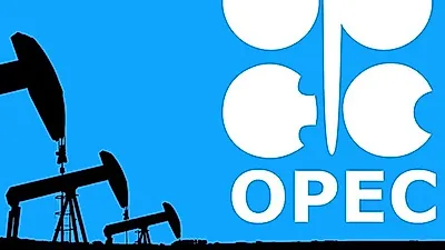 나이지리아 등 소규모 산유국, OPEC+ 결정에도 원유 증산