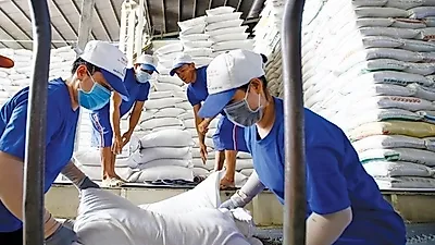 베트남, 쌀 수출 관리 강화…식량 안보와 지속 가능한 생산 강조