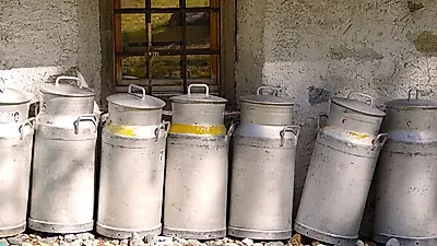 [심층-글로벌푸드체인] 우간다, 케냐의 우유 수입 제한에 고충...우유 '2,400만 리터' 고갈 위기