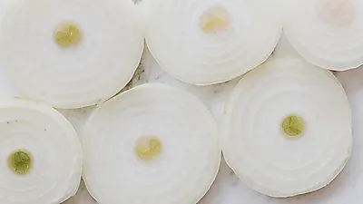 [식량안보] 인도, 양파 가격 안정 위해 톤당 800달러 최소 수출가격 책정