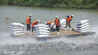[기획-글로벌푸드체인] 베트남, 세계 3대 수산물 강국으로 우뚝