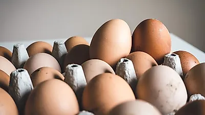 말레이 양계 농가, 계란 부족 사태 경고...해결될 실마리가 안 보여