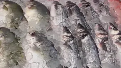 베트남, 2분기 수산물 수출 반등 기대...“저렴한 제품부터 수요 회복 할 것”