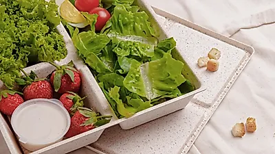 친환경 식품용기 제조사 알터팩, 100만 달러 프리 시드 라운드 완료