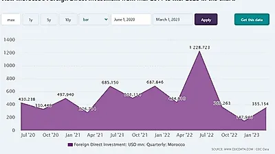모로코 FDI 29% 급감...개발도상국, 청정에너지 투자 부족성 야기