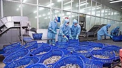 베트남 수산물, 110억 달러 신기록 세웠지만..."인플레 수출감소 대비해야"