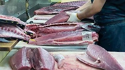 베트남 수산물, 3분기 부터 회복 조짐 '슬쩍'