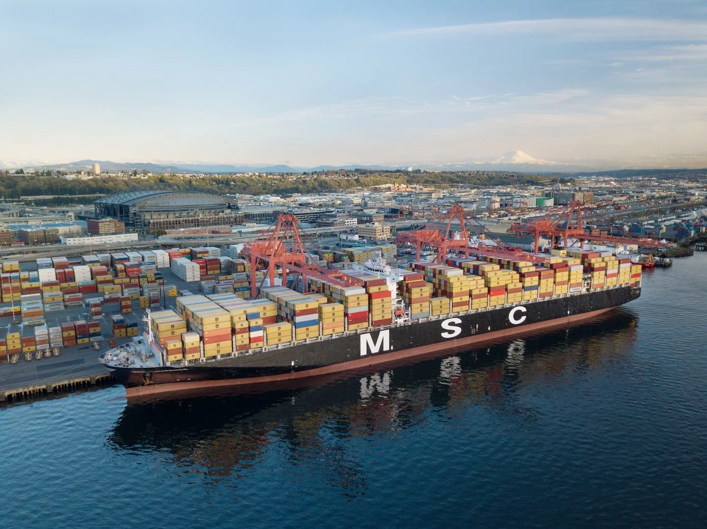 MSC