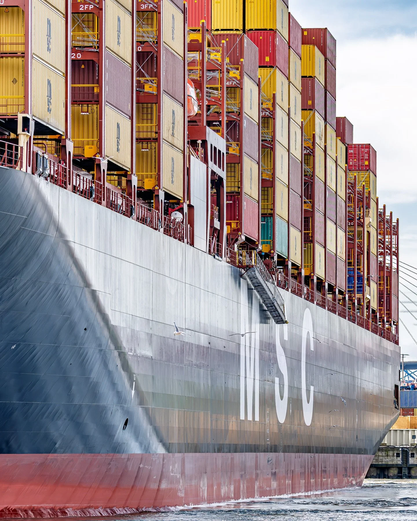 MSC