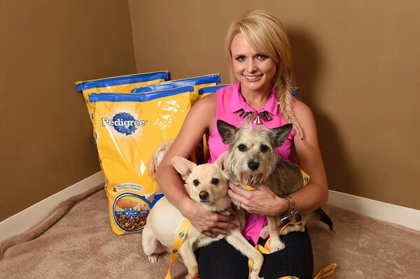 반려동물 사료 매출은 전년 대비 9% 증가해 4억 3,400만 달러로 사상 최고치를 기록했다. 패디그리
