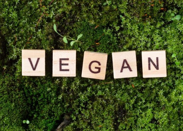 자동차 업계 화두는 '비건 자동차'...탄소 중립 앞당겨줄까