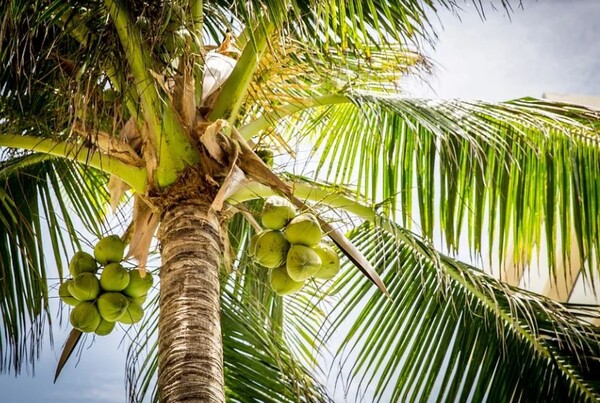 EU발 경기침체 '쓰나미', 동남아 덮친다