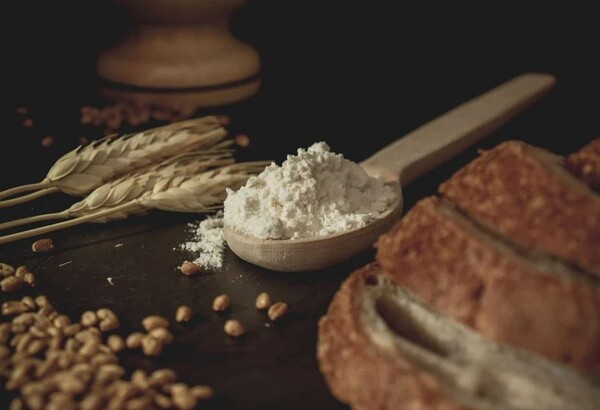 인도, 밀가루 수출 재개하기로...공급 불안 해소할까