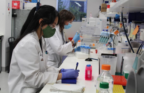 플라스틱 '무한' 재활용...호주 스타트업 삼사라에코, 5,400만 달러 자금조달