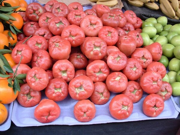 대만 농업위원회