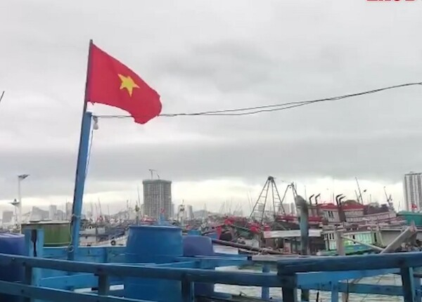 작년 베트남은 수산물 110억 달러(약 13조 5,575억 원)어치를 수출했다. VASEP