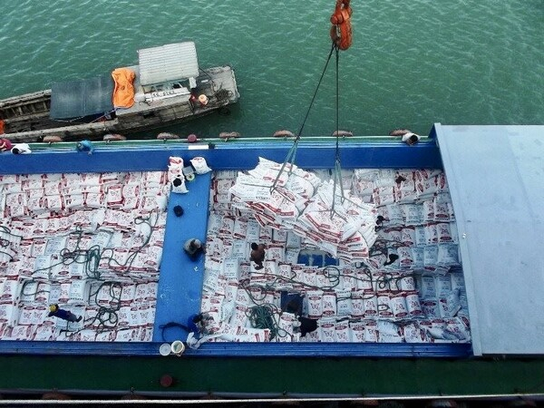 태국의 쌀 수출은 더 늘어날 것이라는 긍정적인 전망이 나오고 있다.  오리코