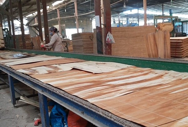 베트남 합판 수출시장은 2022년 3분기 말 기준으로 가장 강한 하락폭을 보이며 최근 4개월간 지속됐다. 베트남 합판공급자협회