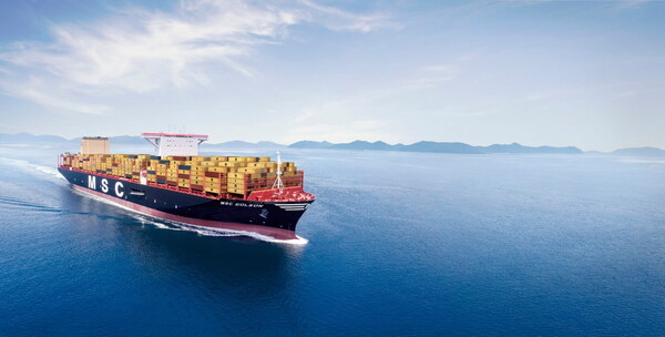 수출 상품의 가치 증가는 소득 불평등 및 사회 복지와 관련된 문제들도 야기할 수 있다. MSC