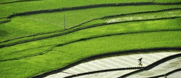 [연속기획 글로벌 식량 공급망] ③ 글로벌 식량 대국 중국, 자급률 대책은?