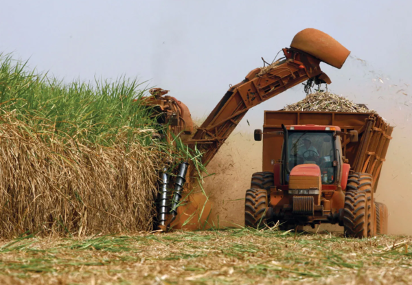 [연속기획 글로벌 식량 공급망] ⑥ 브라질과 미래 어그테크 농업