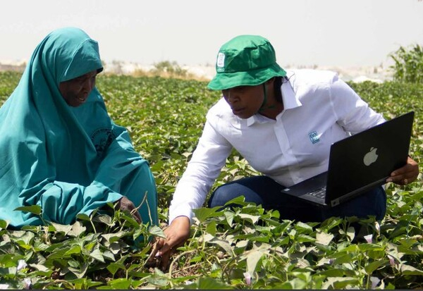 현재 아프리카는 수십 년 만에 최악인 심각한 식량 안보 문제를 겪고 있다. OCP