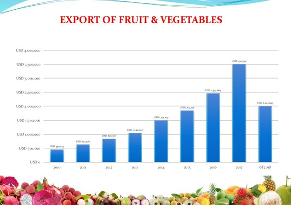 베트남 과일채소협회