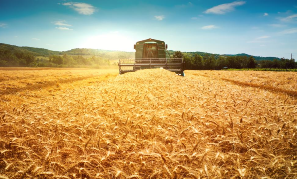 EU사이언스허브