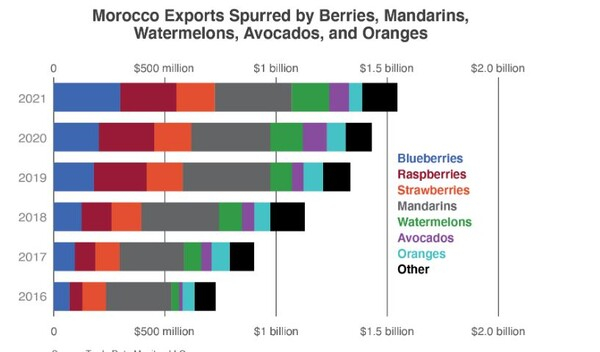 모로코 수출 당국은 토마토 가격이 크게 상승한 상황에서 국가 식량 안보 유지의 중요성을 강조하며 이러한 조치를 정당화했다. USDA