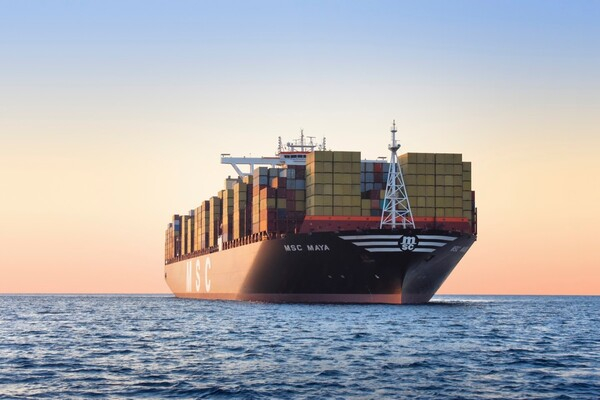 USMCA는 무역 장벽과 관세를 완화하여 멕시코의 수출, 특히 제조업, 자동차, 농업 부문의 수출을 더욱 증가시켰다. MSC