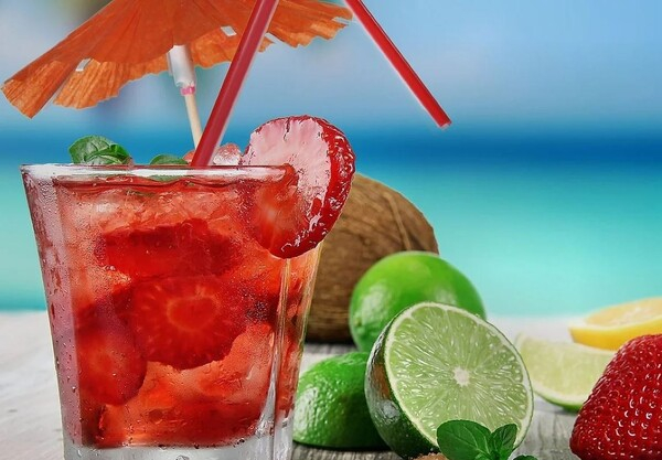 해외에서 베리류의 가격이 높아, 관련 산업이 수출에 적합하다. FRUTAMEX