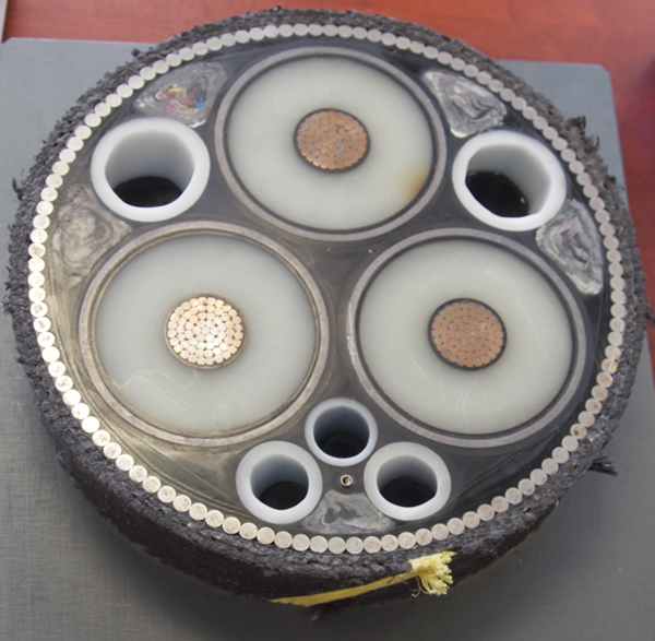 인도, 사우디·UAE와 전력망 연결한다