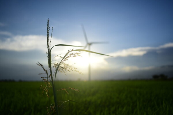 이집트는 이탈리아를 경유해 유럽으로 전기 에너지를 수출하기 위한 조율을 촉진한다. 스카텍