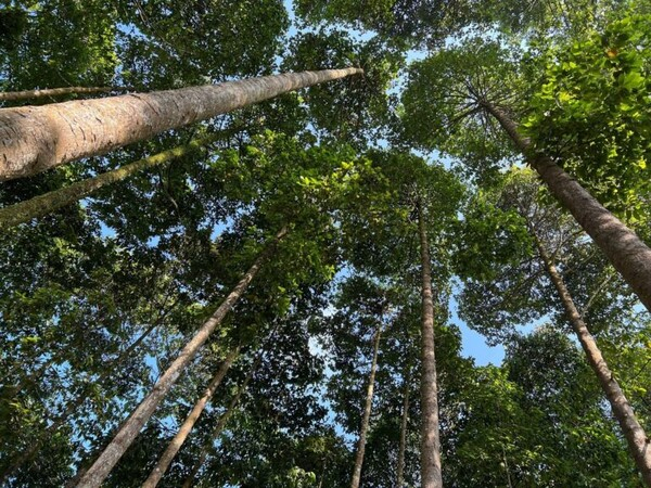 베트남, 2025년 탄소배출권 거래소 시범운영...2028년 정식 출범 목표