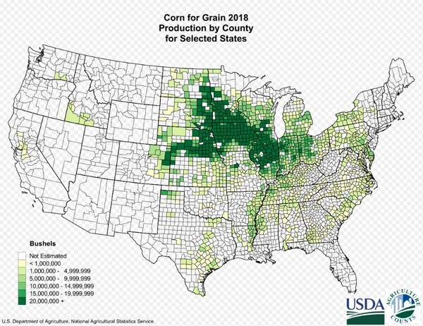 [식량안보] 美 옥수수‧콩 가격, 폭우 예보에 하락...신규 수확량 가격은 더 큰 타격
