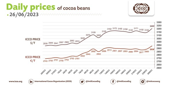 코코아 가격 현황국제코코아기구(ICCO)