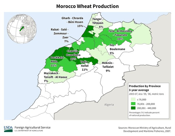 [기획-글로벌 푸드체인] 모로코, 가뭄 극복 후 밀‧보리 생산 급증 예상...자급력 강화에 힘싣다