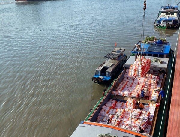 자연재해로 일부 쌀 재배 지역에서 생산량이 감소할 수 있다. 오리코(Orico)