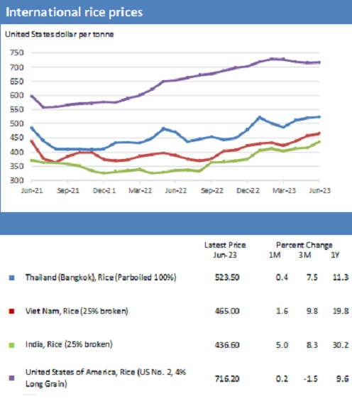 전세계 쌀 가격 추이 FAO