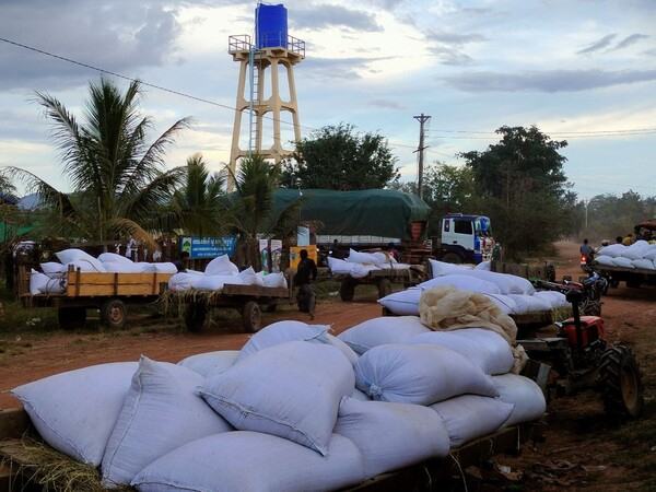  2023년 첫 7개월 동안 캄보디아에서 68개국으로 수출된 농산물은 450만 톤을 넘겼다. 암루라이스