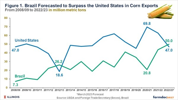 브라질 옥수수 미국 수출 전망치 팜닥
