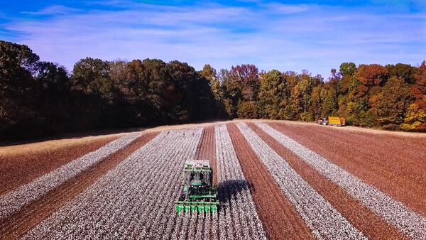 미국 국제면화협회