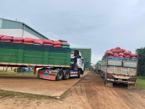 [기획-ASEAN 트레이드] 캄보디아, 59개국에 제분 및 쌀 수출 성공적으로 확대
