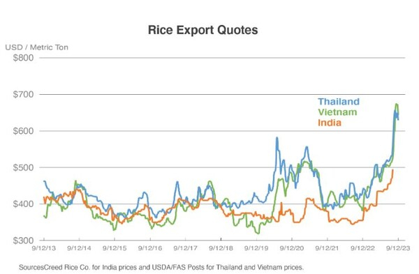 쌀 수출 가격 추이 USDA