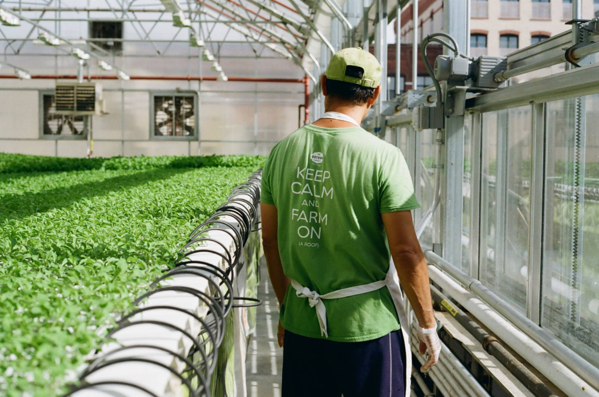 [기획-글로벌푸드체인] 미국 대중국 농산물 수출 60억 달러 감소…무역적자 사상 최대