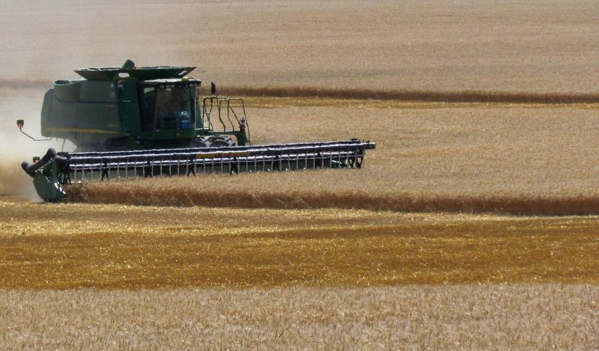 [기획-글로벌푸드체인] 모로코, 2024년 세계 6대 밀 수입국 전망