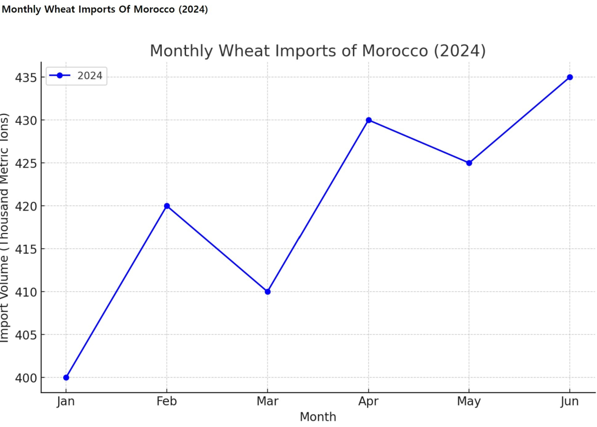 [기획-글로벌푸드체인] 모로코, 2024년 세계 6대 밀 수입국 전망