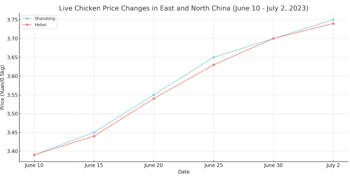 [기획-글로벌푸드체인] 브라질, 가금류 수출 중단...중국은 반사이익?