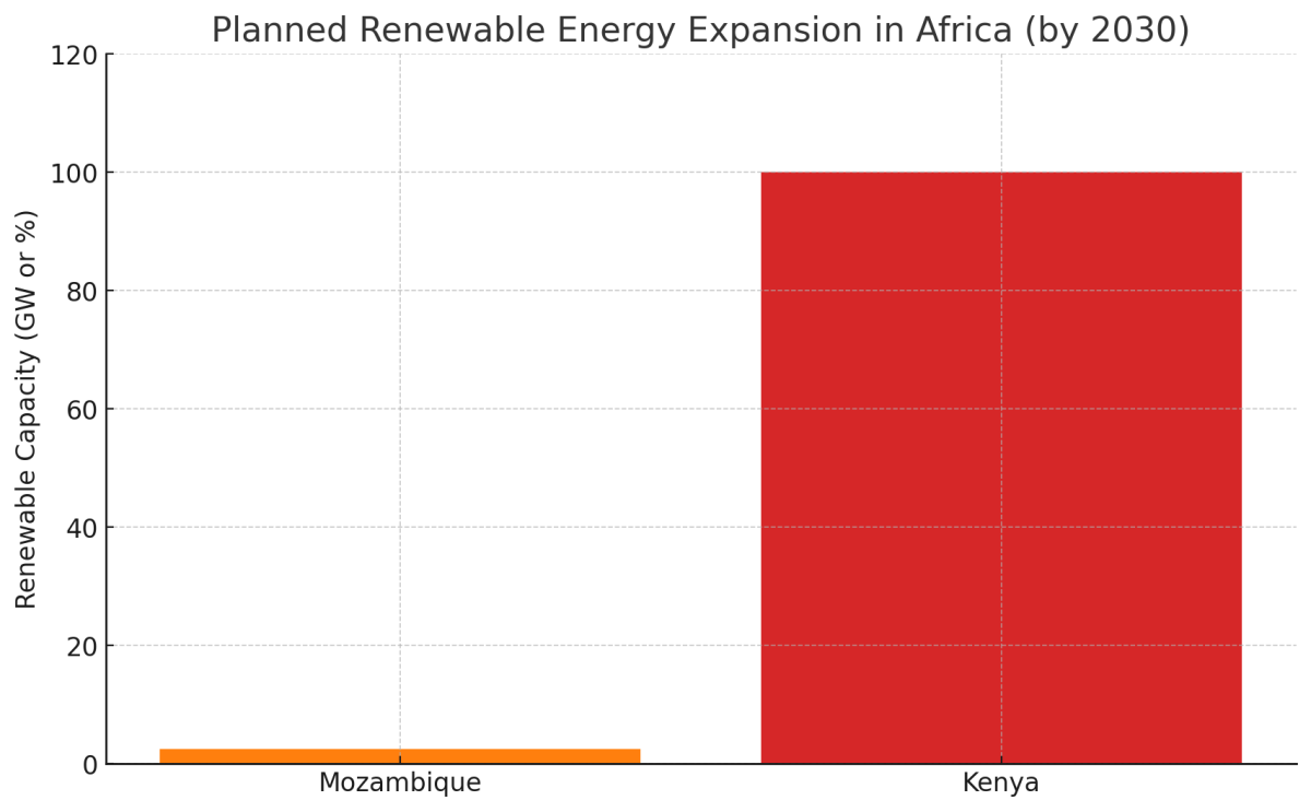 [기획-에너지 FOCUS] 인니, 재생 에너지 확대…아프리카 협력 강화